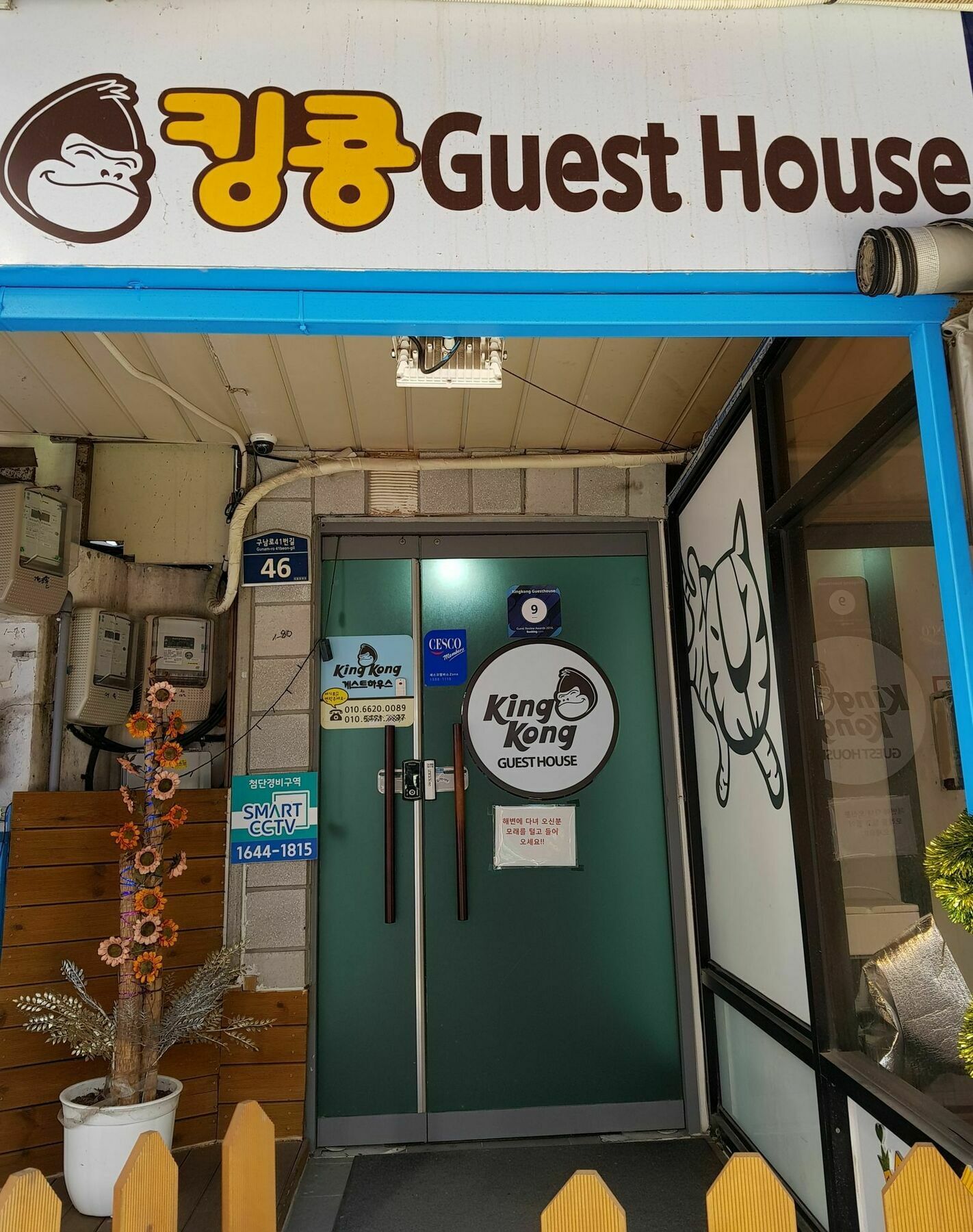 Kingkong Guesthouse Busan Exterior photo